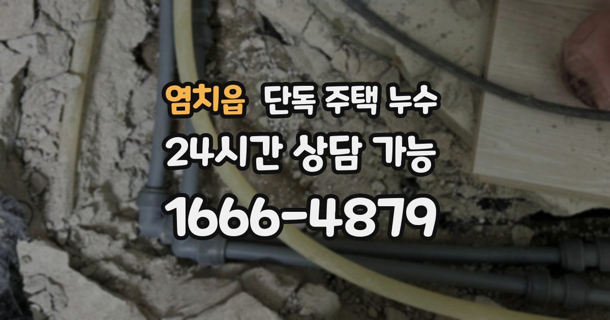 염치읍 단독 주택 누수