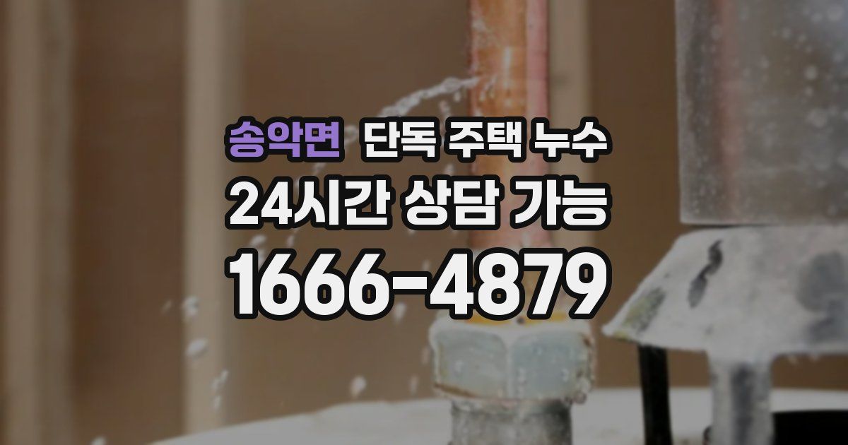 송악면 단독 주택 누수