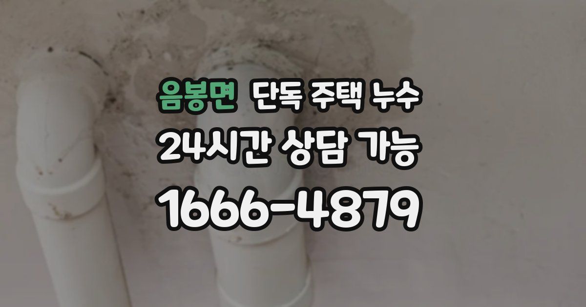 음봉면 단독 주택 누수