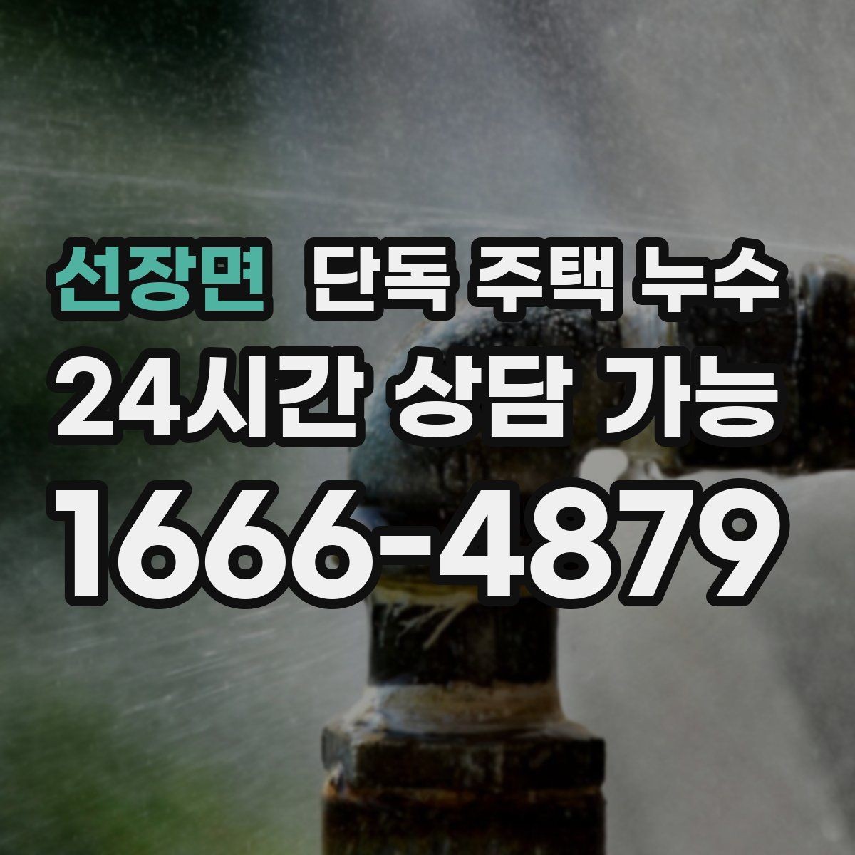 선장면 단독 주택 누수 걸레받이 주변이 부풀어 오를 때