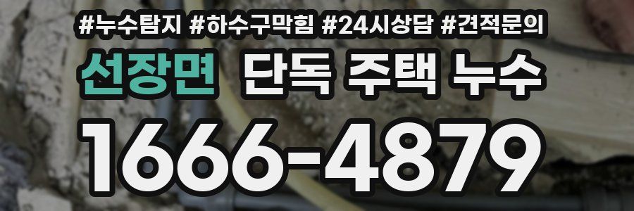 선장면 단독 주택 누수