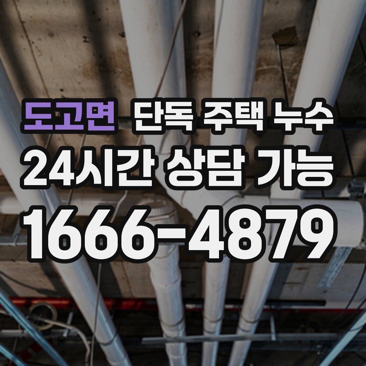 도고면 단독 주택 누수