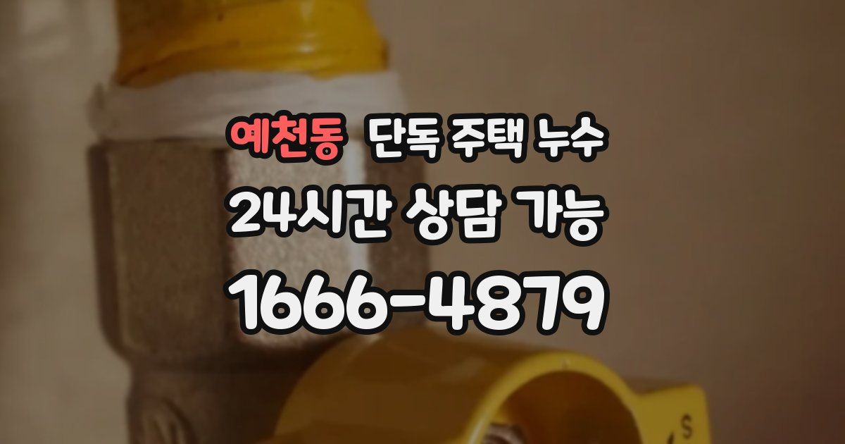 예천동 단독 주택 누수