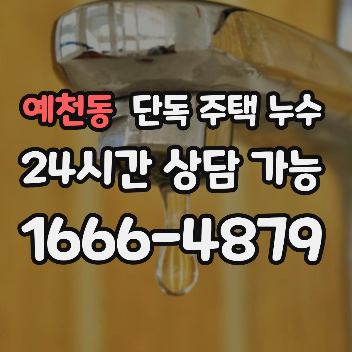 예천동 단독 주택 누수