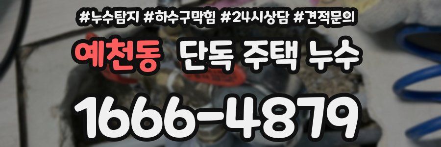 예천동 단독 주택 누수