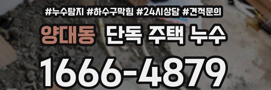 양대동 단독 주택 누수