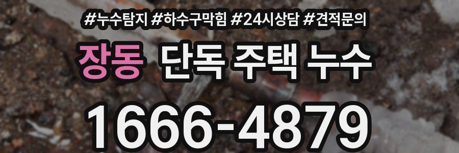 장동 단독 주택 누수