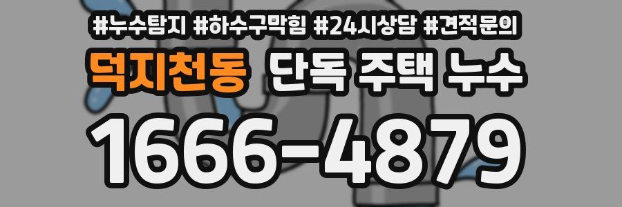 덕지천동 단독 주택 누수