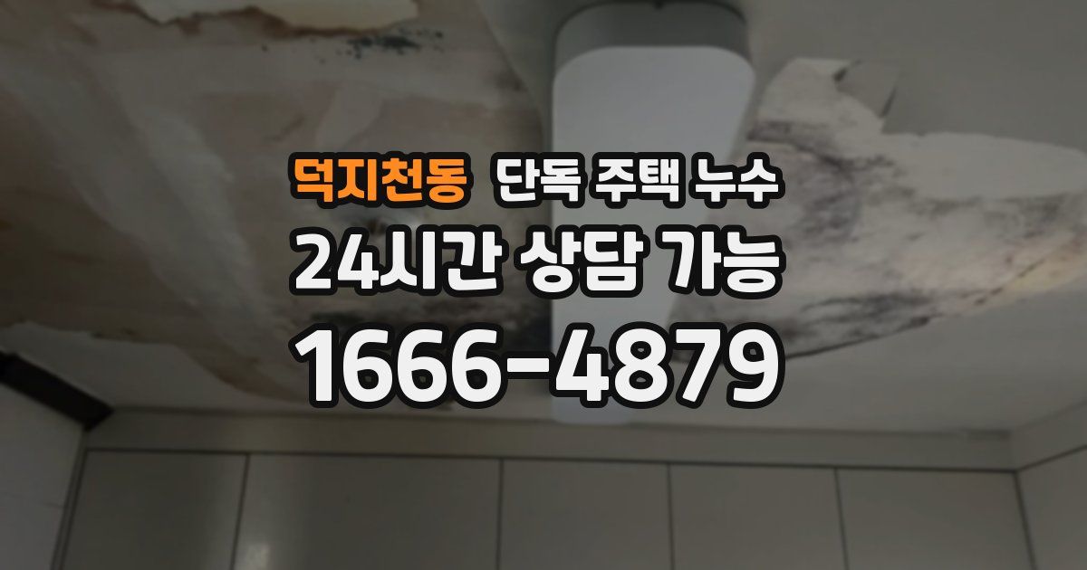 덕지천동 단독 주택 누수