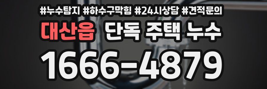 대산읍 단독 주택 누수