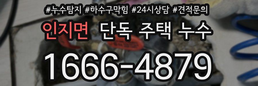 인지면 단독 주택 누수