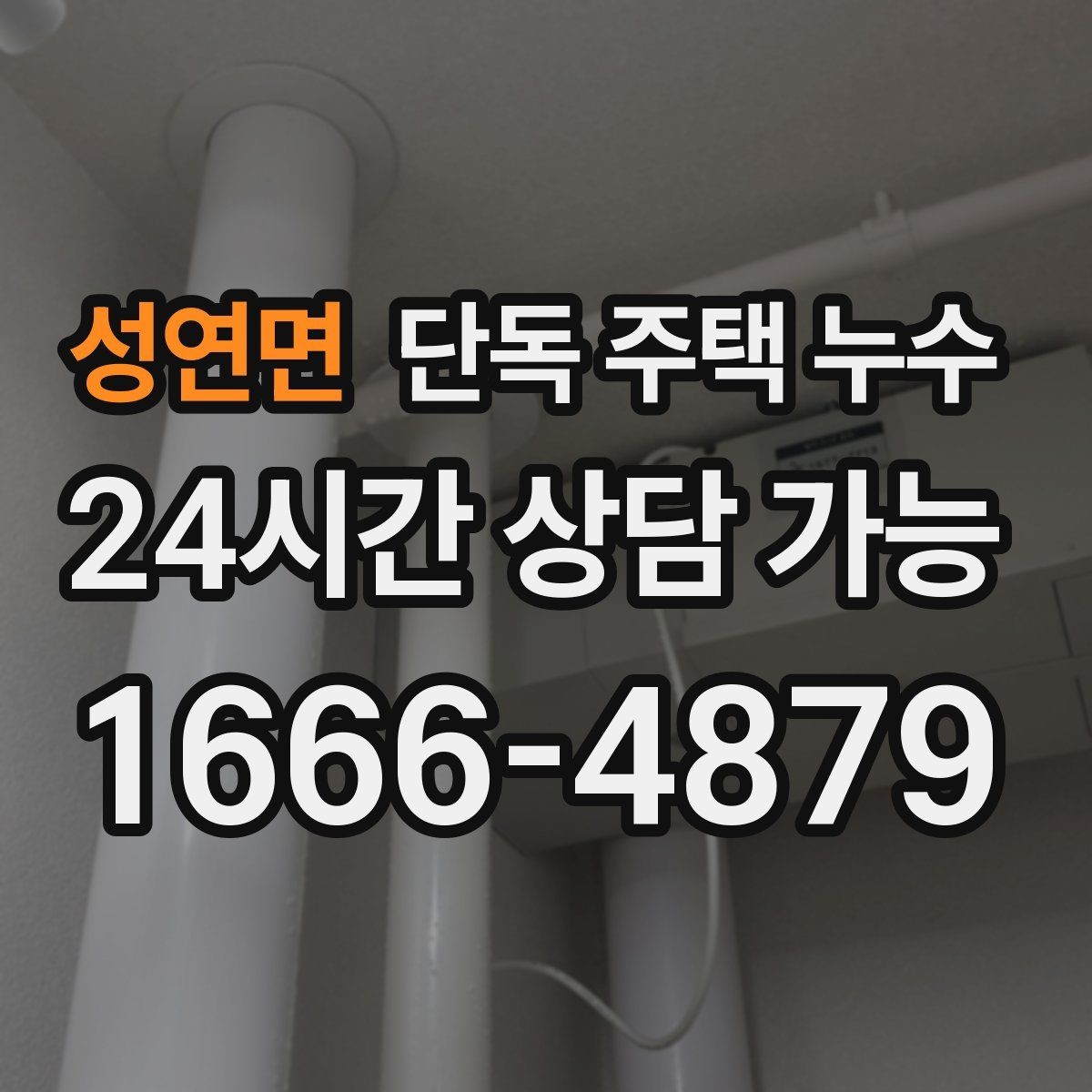 성연면 단독 주택 누수 현관 바닥 타일 들뜸이 생길 때