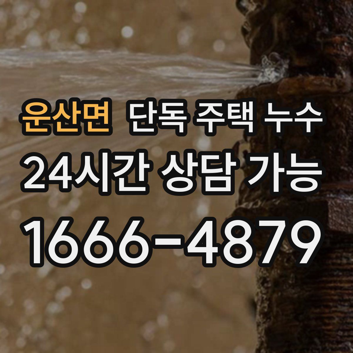 운산면 단독 주택 누수