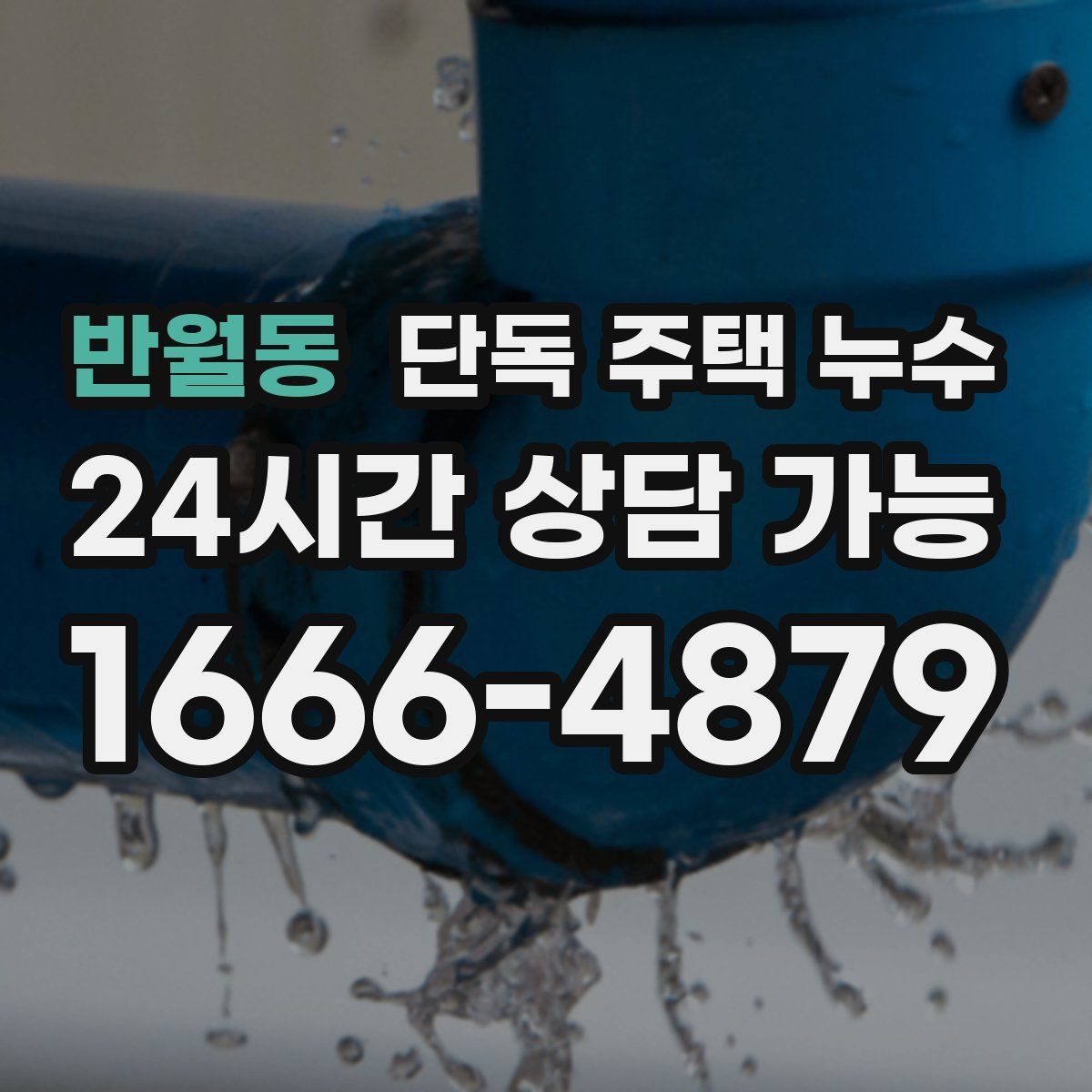 반월동 단독 주택 누수