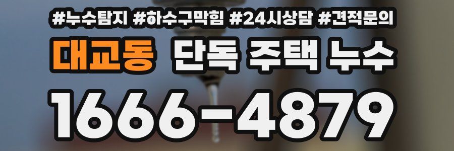 대교동 단독 주택 누수