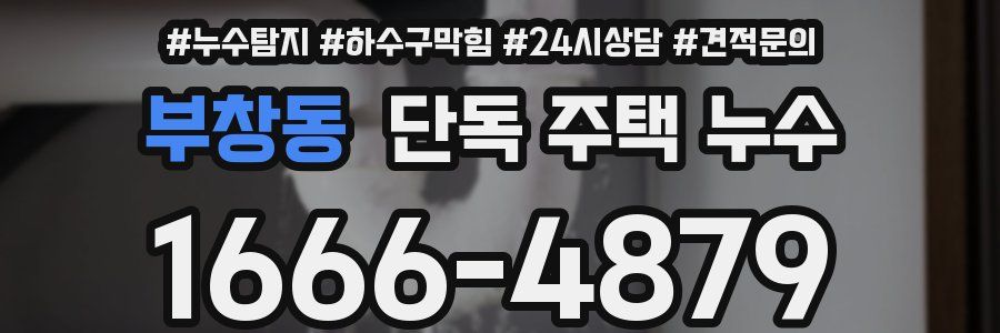 부창동 단독 주택 누수