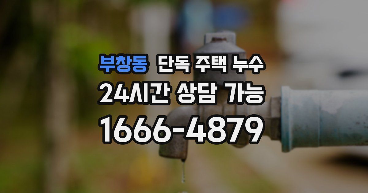 부창동 단독 주택 누수