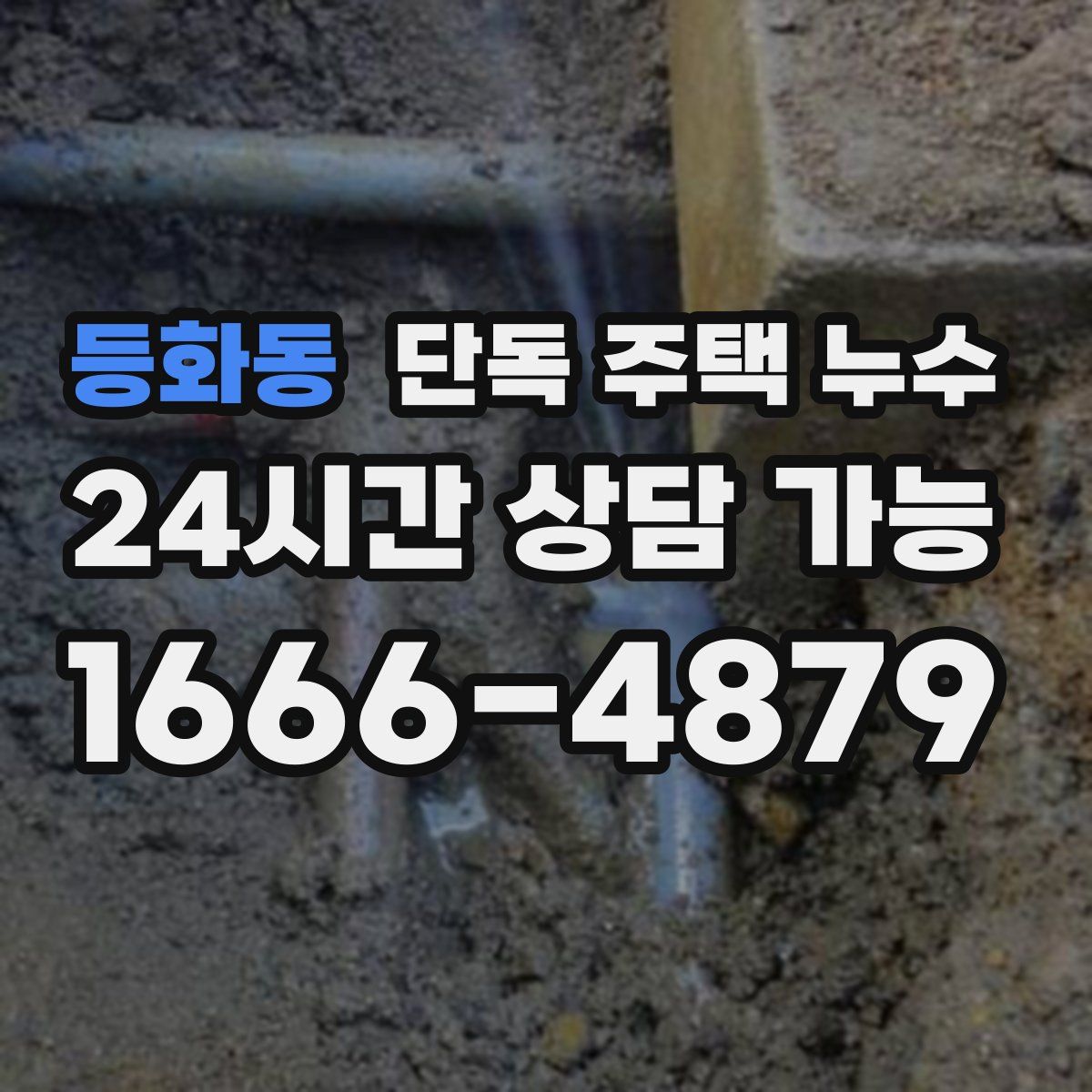 등화동 단독 주택 누수