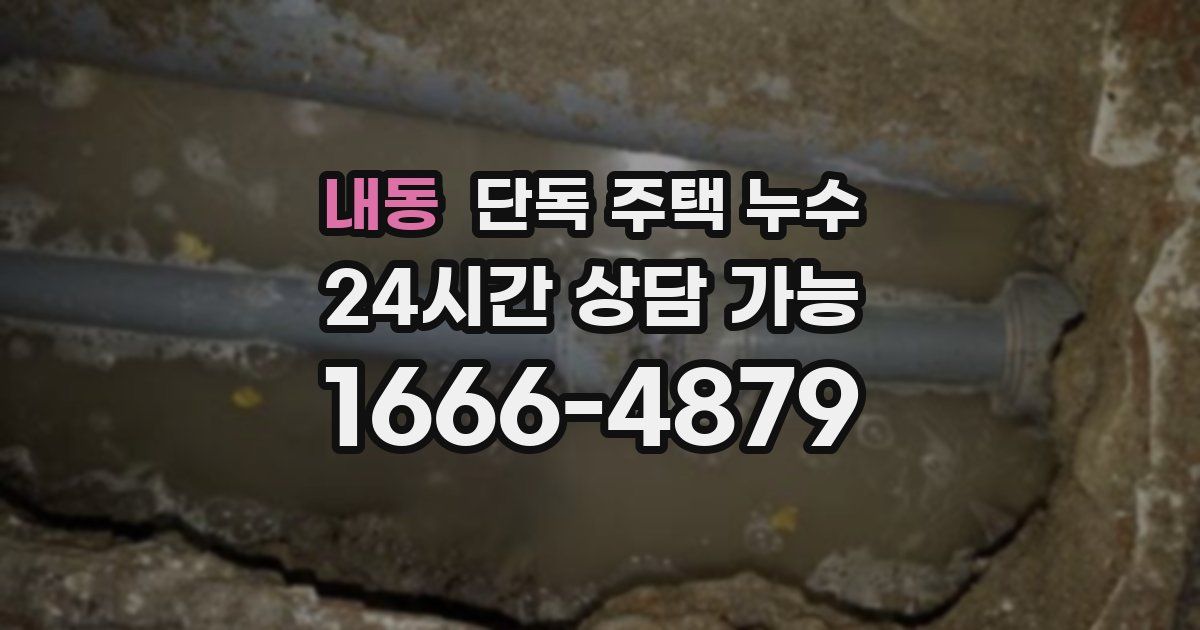 내동 단독 주택 누수