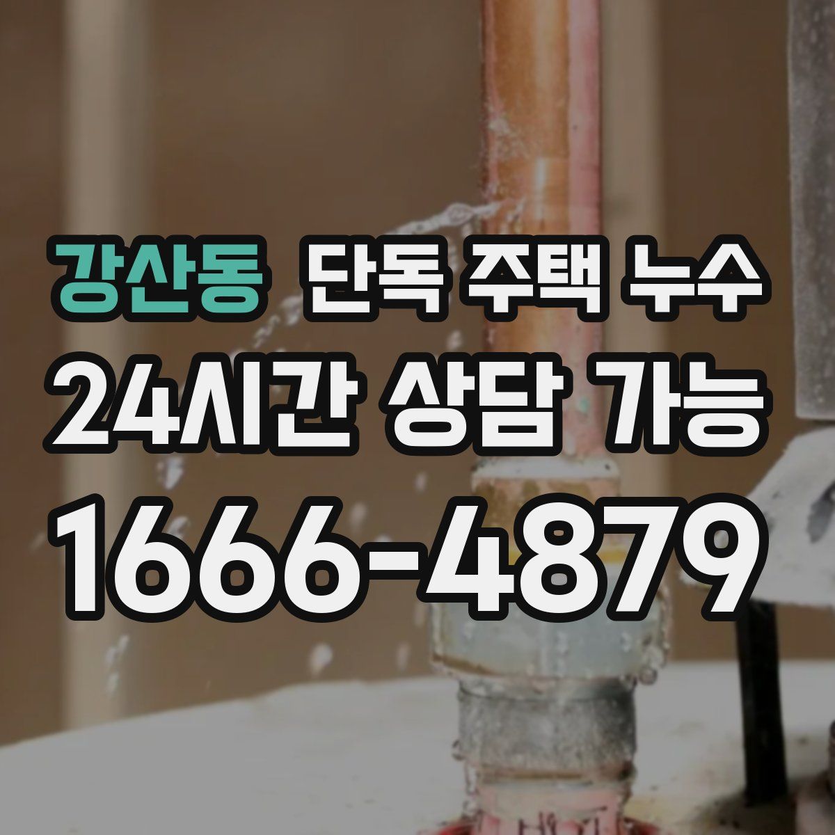 강산동 단독 주택 누수