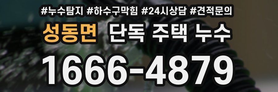 성동면 단독 주택 누수