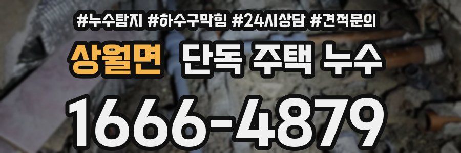 상월면 단독 주택 누수