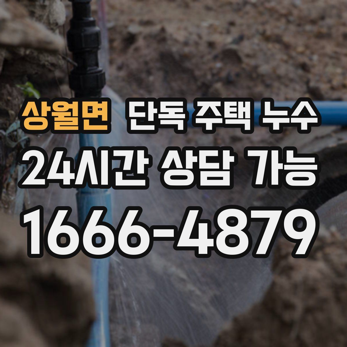 상월면 단독 주택 누수