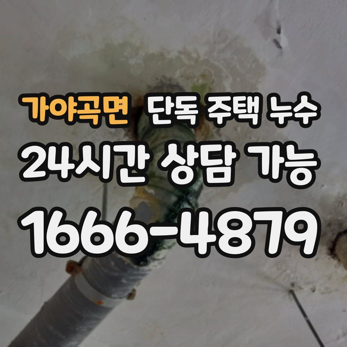 가야곡면 단독 주택 누수 바닥이 차갑고 습할 때 원인 찾기