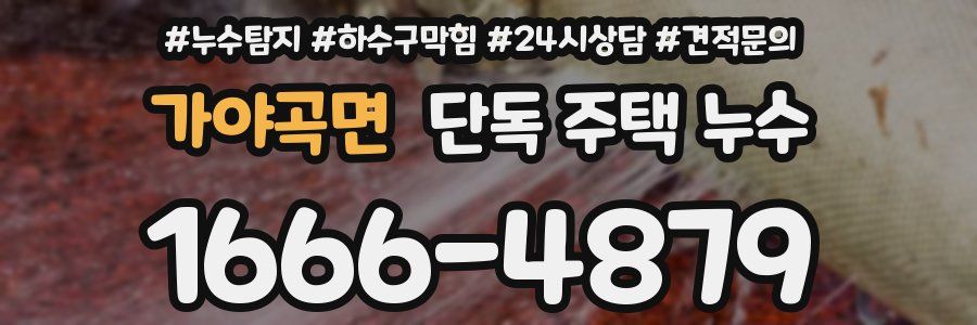 가야곡면 단독 주택 누수