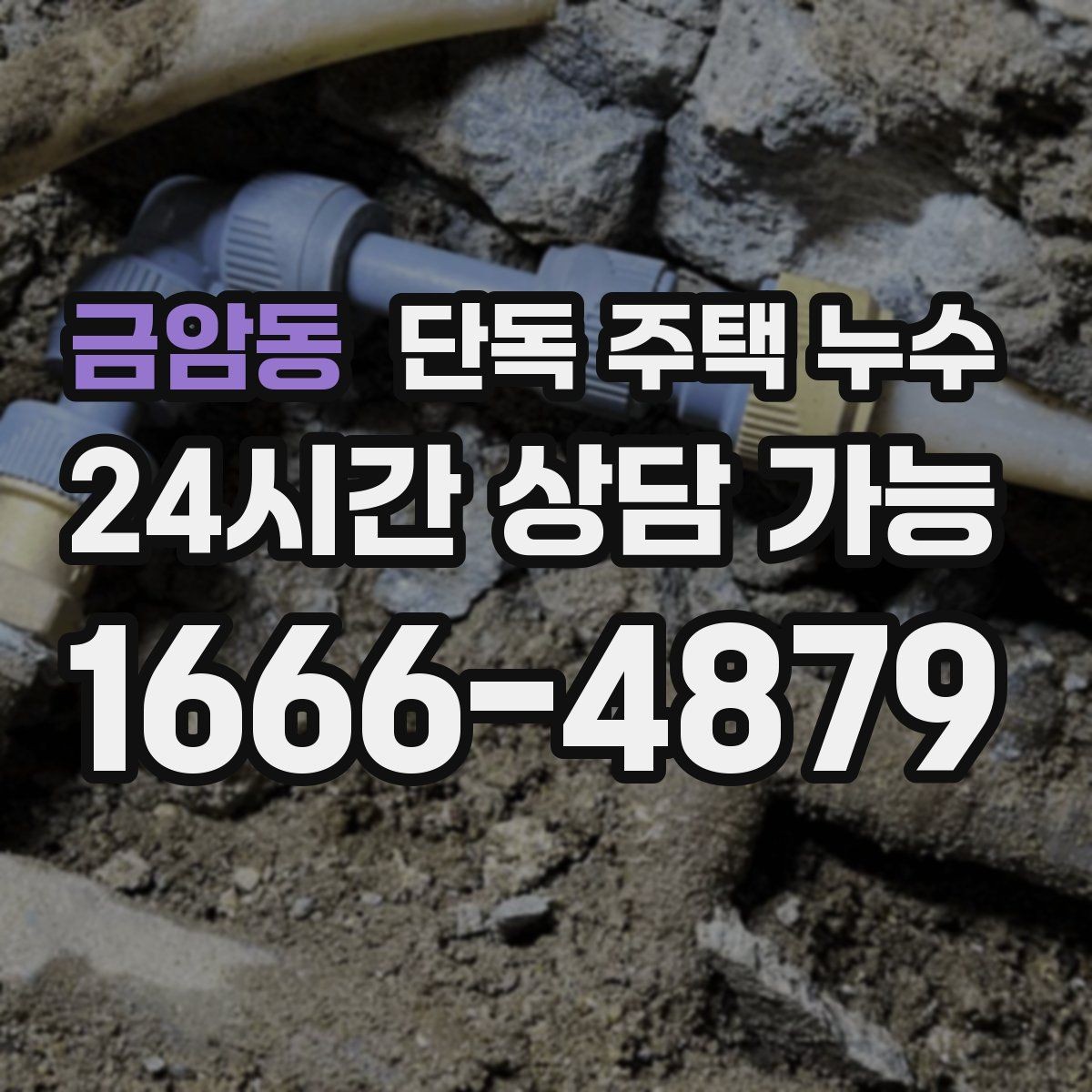 금암동 단독 주택 누수 장마철에 갑자기 발생하는 대표 원인