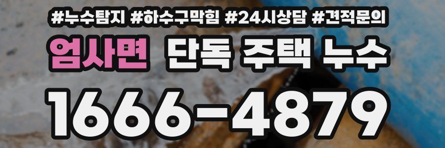 엄사면 단독 주택 누수