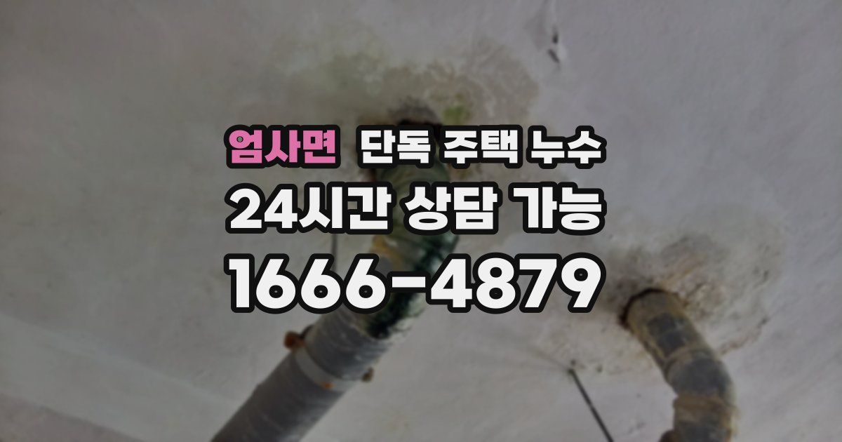 엄사면 단독 주택 누수