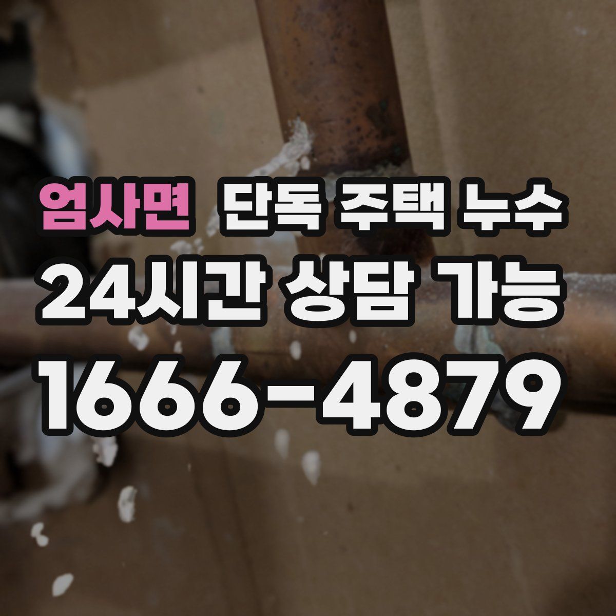 엄사면 단독 주택 누수