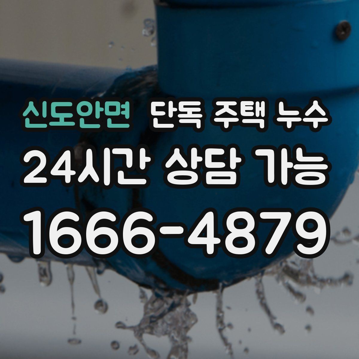 신도안면 단독 주택 누수 샤워부스 하부에서 물이 스며들 때