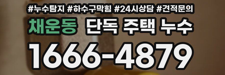 채운동 단독 주택 누수