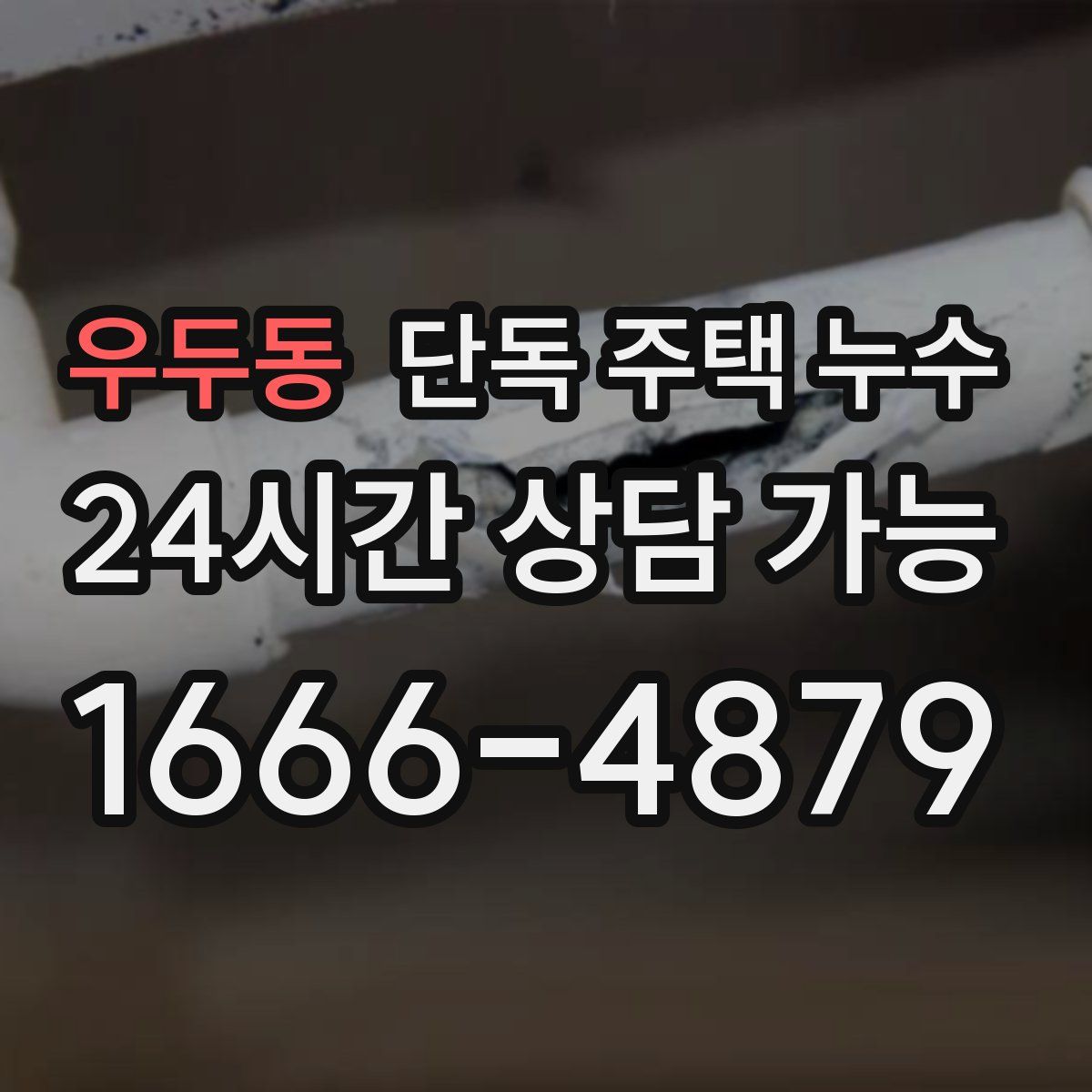 우두동 단독 주택 누수