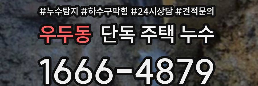 우두동 단독 주택 누수