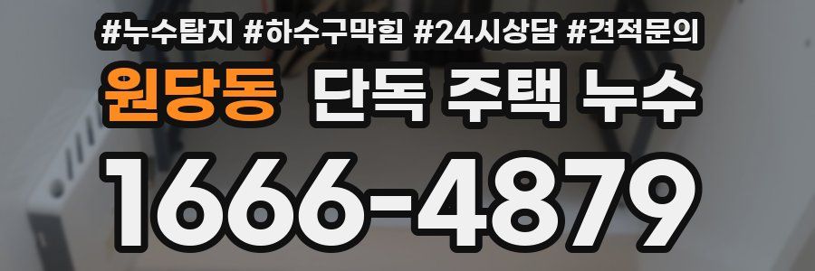 원당동 단독 주택 누수