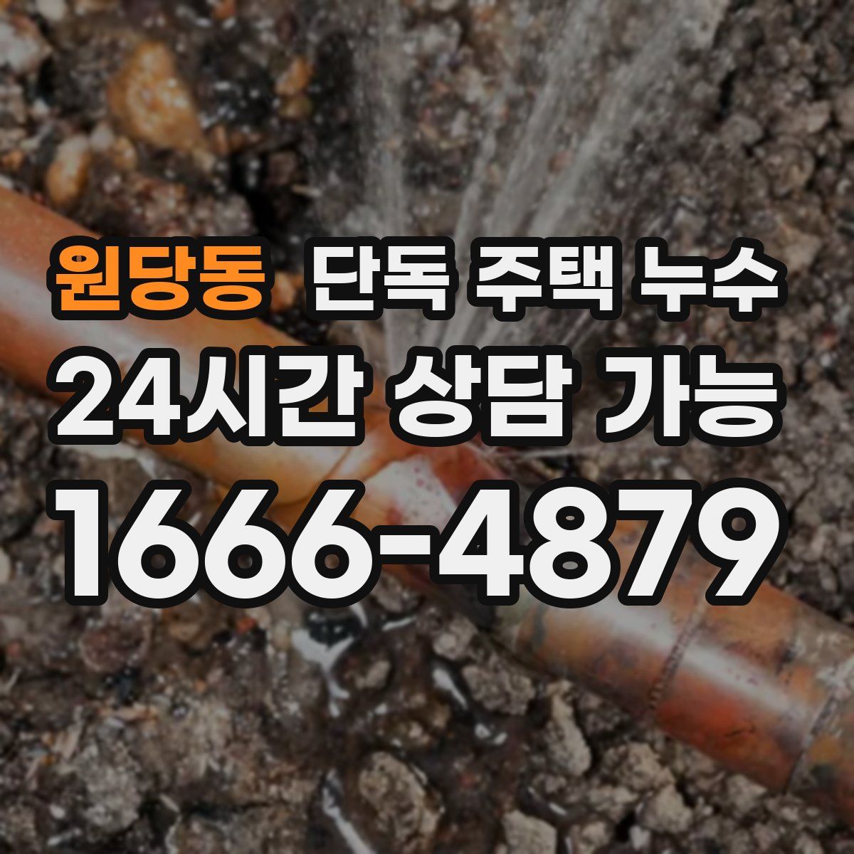 원당동 단독 주택 누수