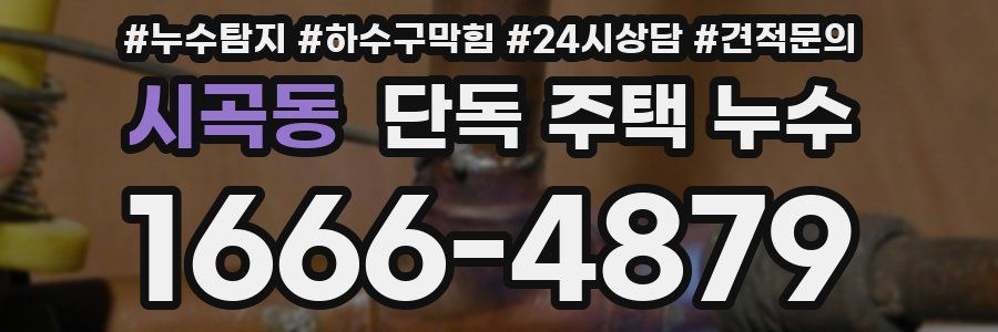 시곡동 단독 주택 누수