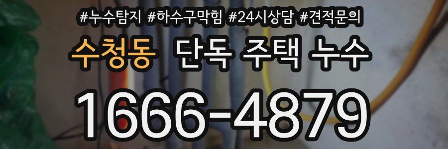 수청동 단독 주택 누수