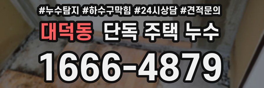 대덕동 단독 주택 누수