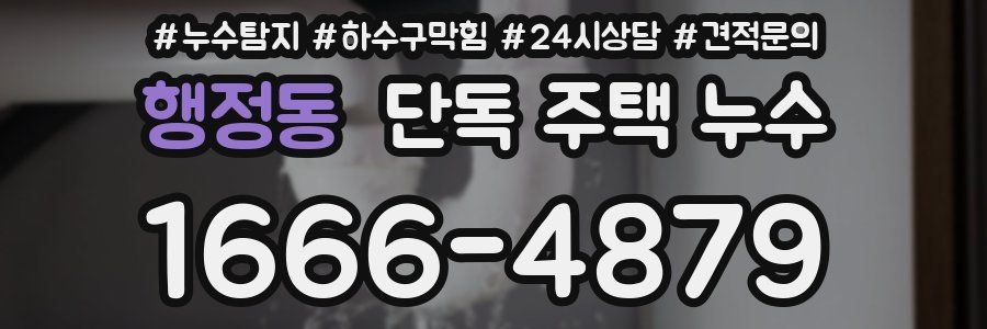 행정동 단독 주택 누수