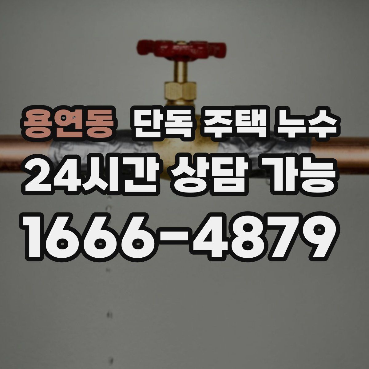 용연동 단독 주택 누수 벽지 속 물자국이 퍼지는 패턴 분석