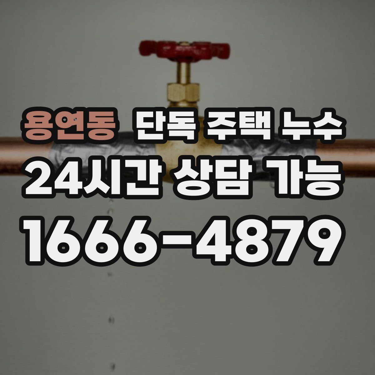 용연동 단독 주택 누수