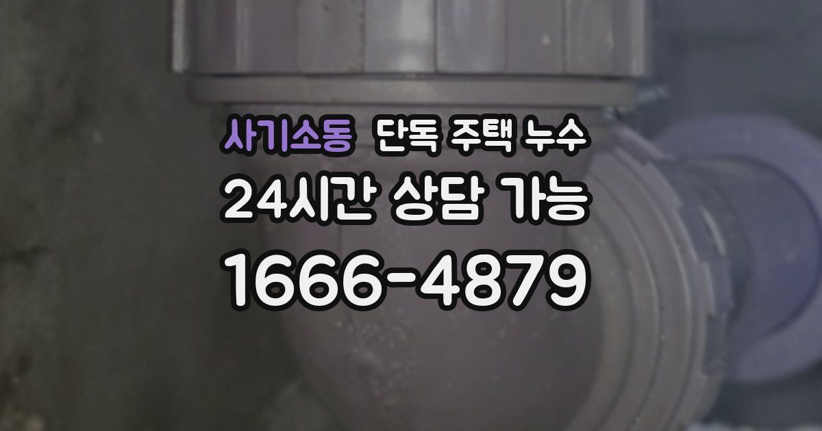 사기소동 단독 주택 누수