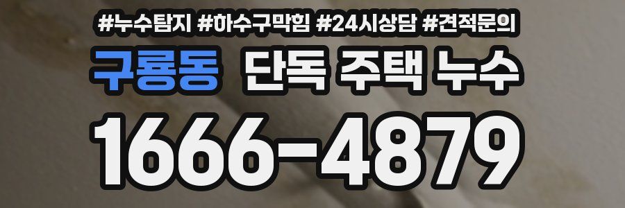 구룡동 단독 주택 누수