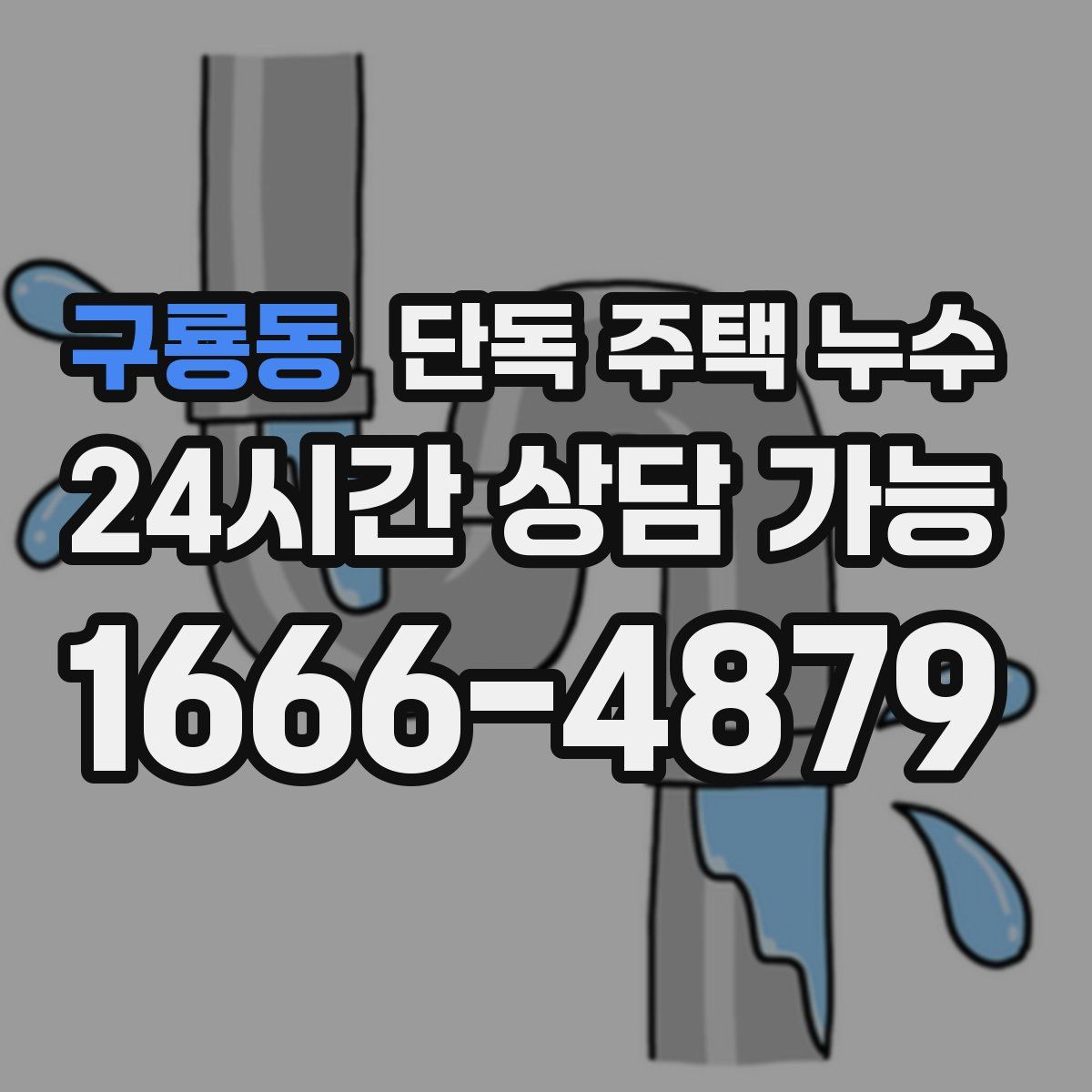 구룡동 단독 주택 누수