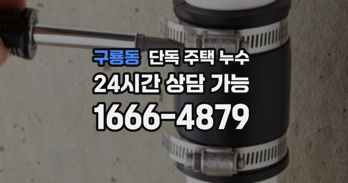 구룡동 단독 주택 누수