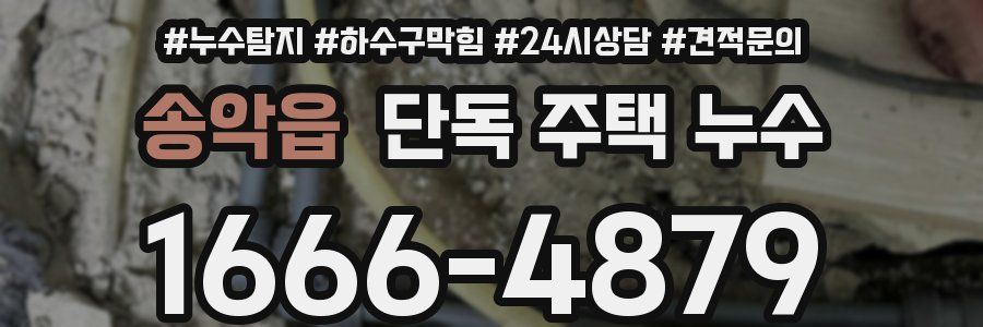 송악읍 단독 주택 누수